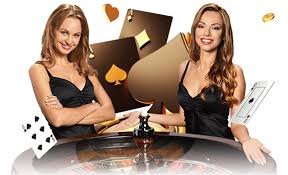 wild casino ¿Qué aspectos cubre nuestra sección de preguntas frecuentes?